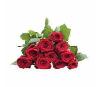 Rote Rosen  "RED NAOMI" 60 cm
