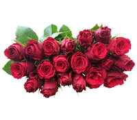 Rote Rosen