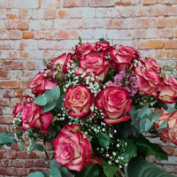 Paloma-Premium Rosen